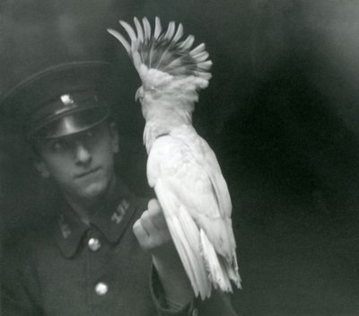A Keeper Holds a Young Cockatoo at London Zoo, September 1921 by Frederick William Bond